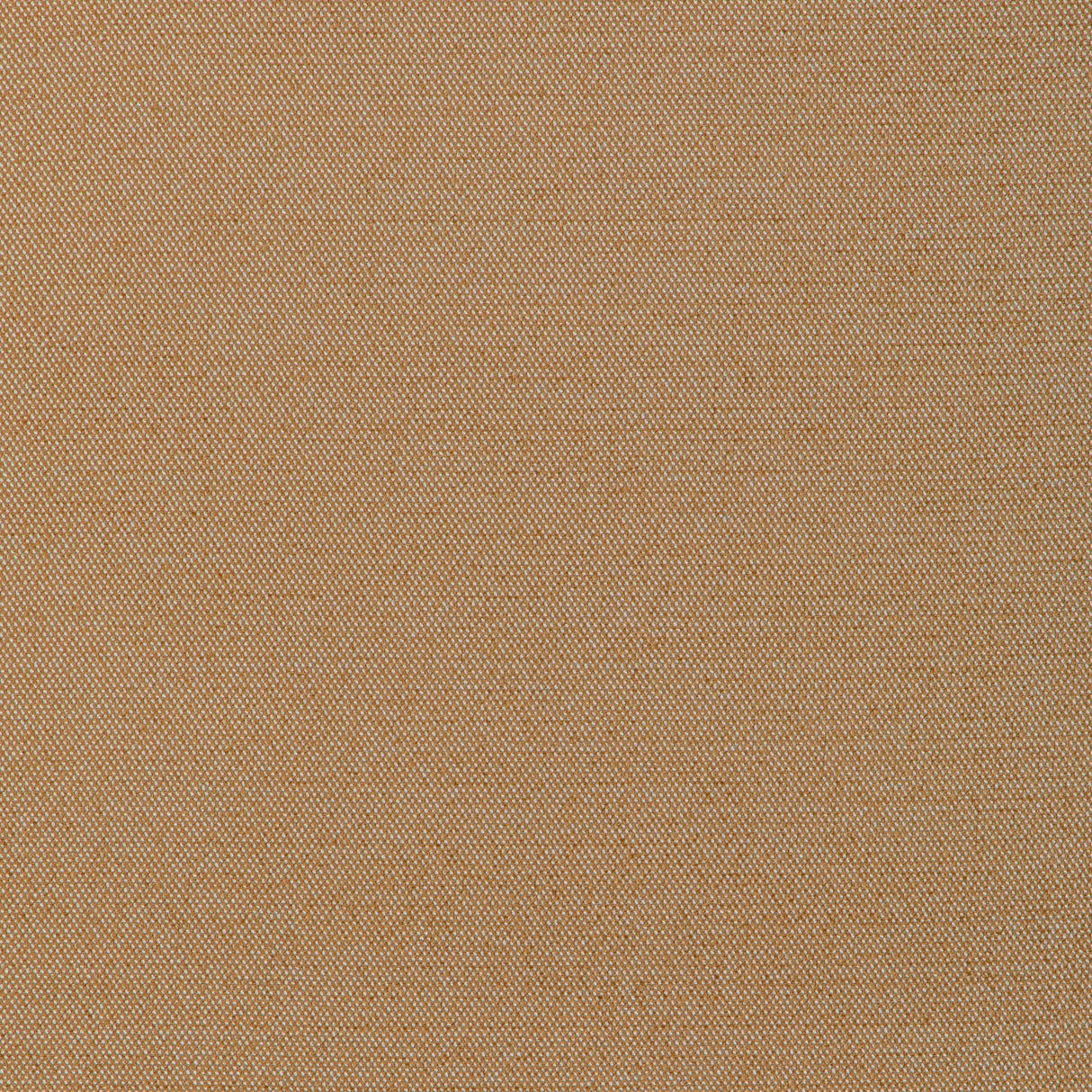 Donghia FORMAL AFFAIR OCHRE Upholstery Fabric