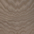 Donghia VIBRATO TAUPE Fabric