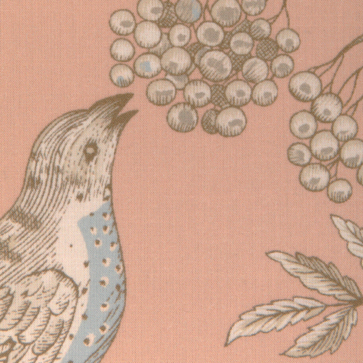 Brunschwig & Fils BIRD AND THISTLE II PEACH Drapery Fabric