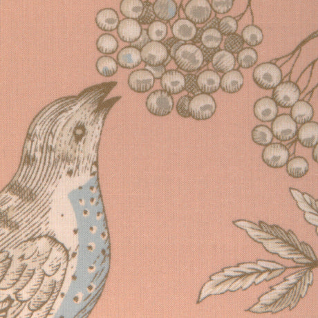 Brunschwig & Fils BIRD AND THISTLE II PEACH Drapery Fabric
