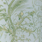 Brunschwig & Fils BIRD AND THISTLE II SKY Drapery Fabric