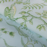 Brunschwig & Fils BIRD AND THISTLE II SKY Drapery Fabric