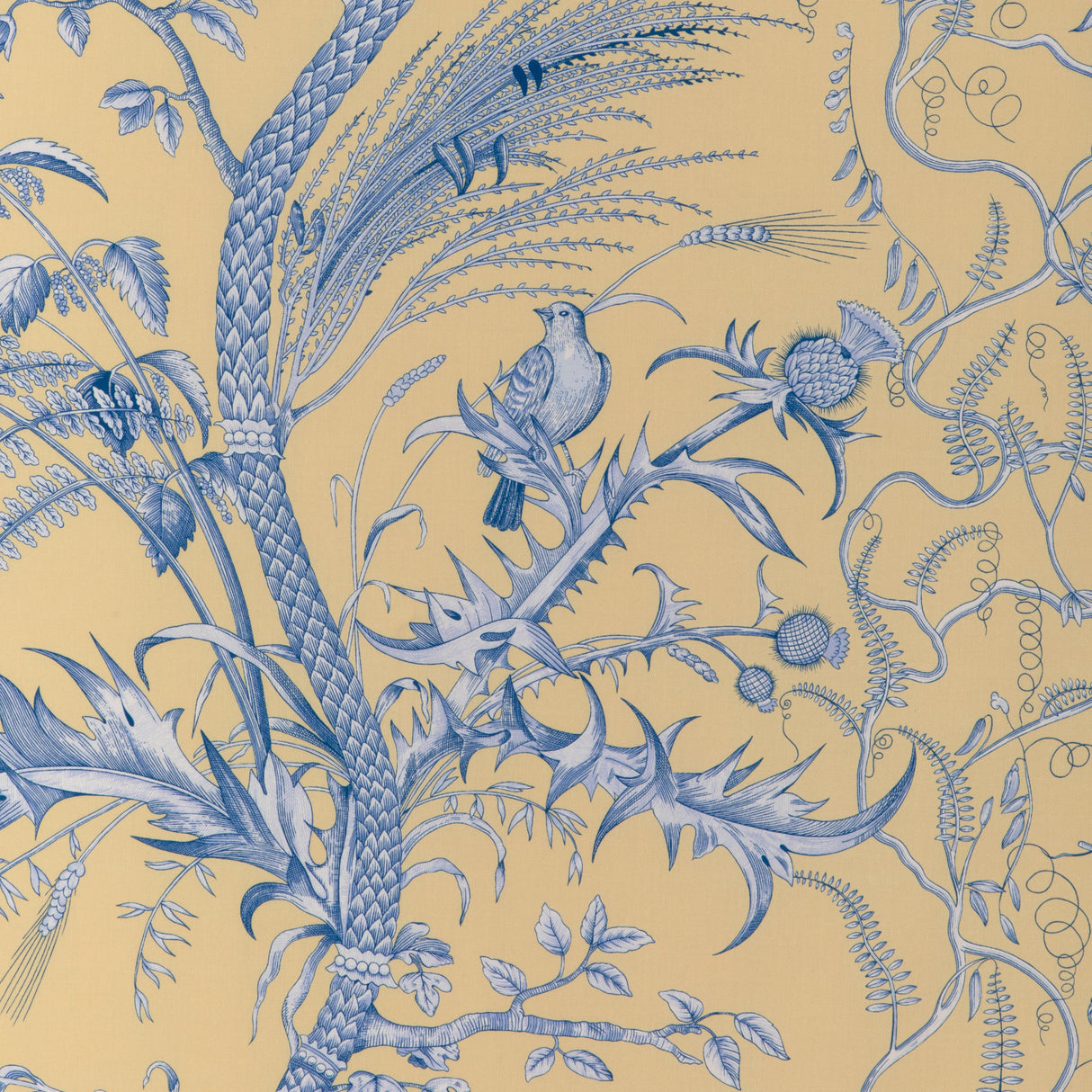 Brunschwig & Fils BIRD AND THISTLE II SUN Drapery Fabric