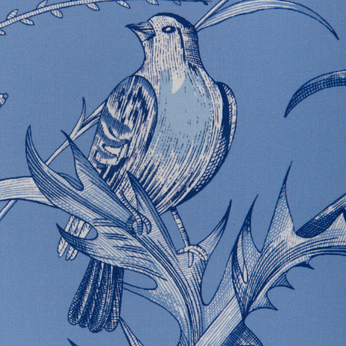 Brunschwig & Fils BIRD AND THISTLE II BLUE Drapery Fabric