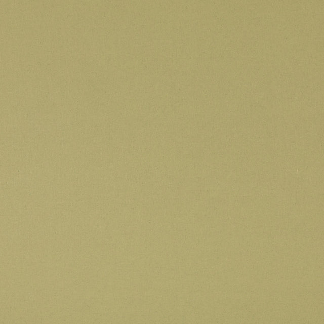 G P & J Baker KIT'S LINEN GRASS Fabric