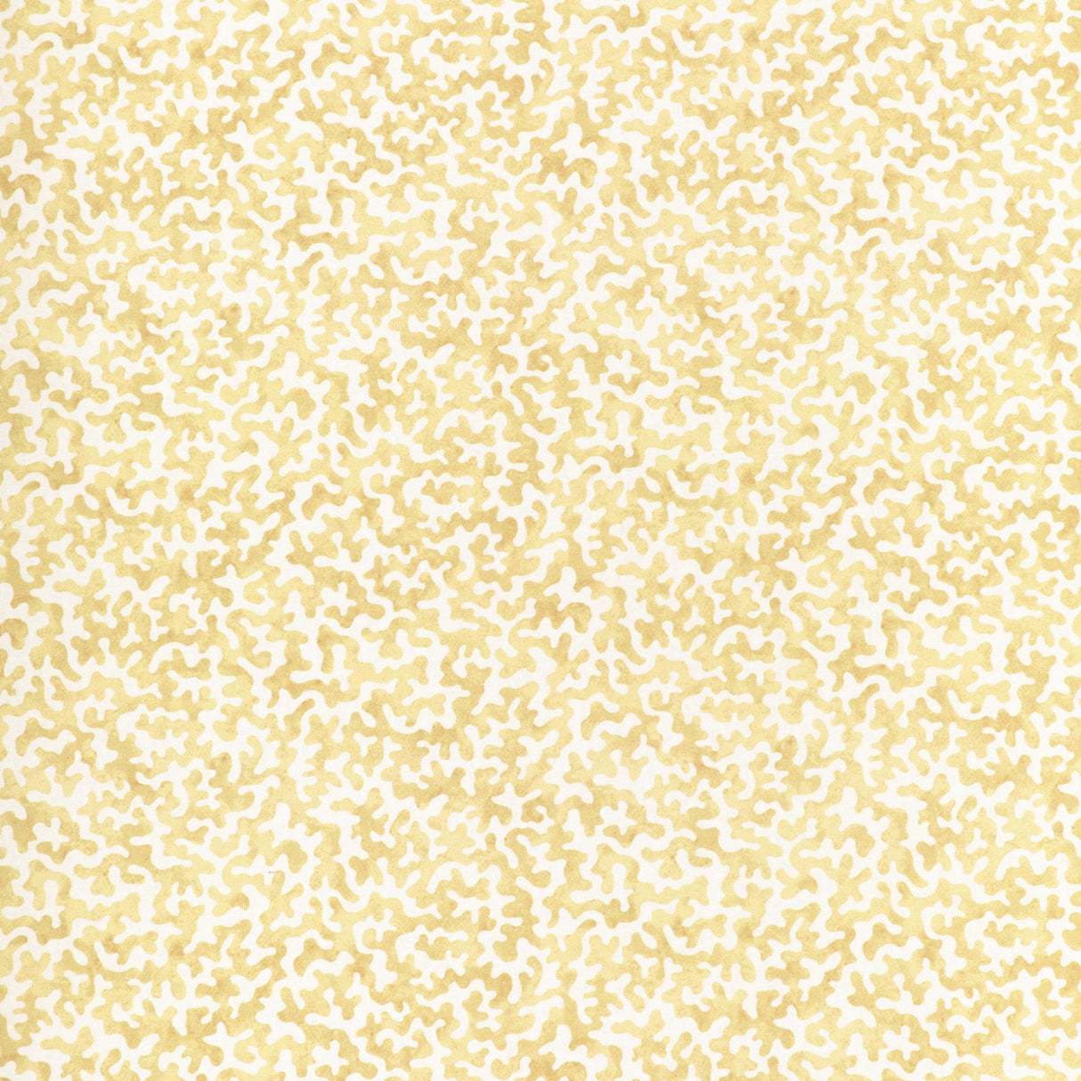 Kravet CORALCOAST CORNSILK Fabric