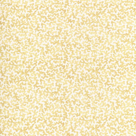 Kravet CORALCOAST CORNSILK Fabric