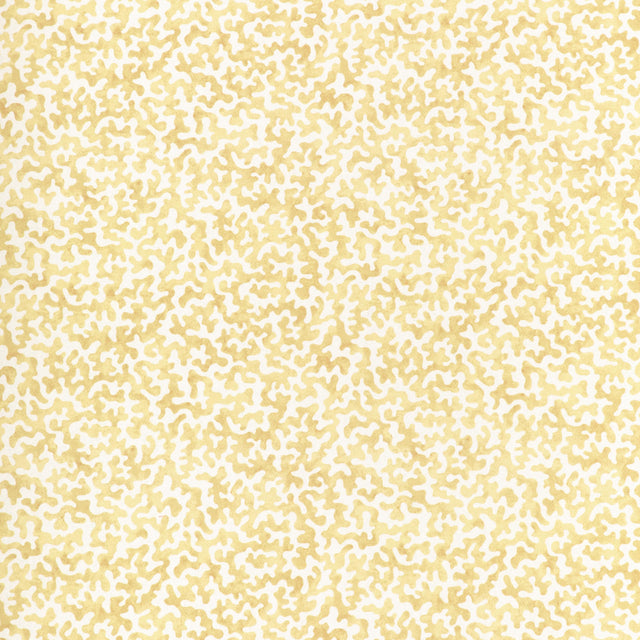 Kravet CORALCOAST CORNSILK Fabric