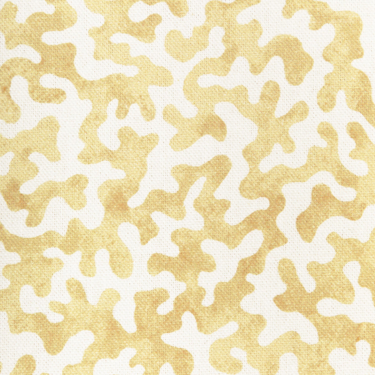 Kravet CORALCOAST CORNSILK Fabric