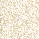 Kravet CORALCOAST SAND Fabric