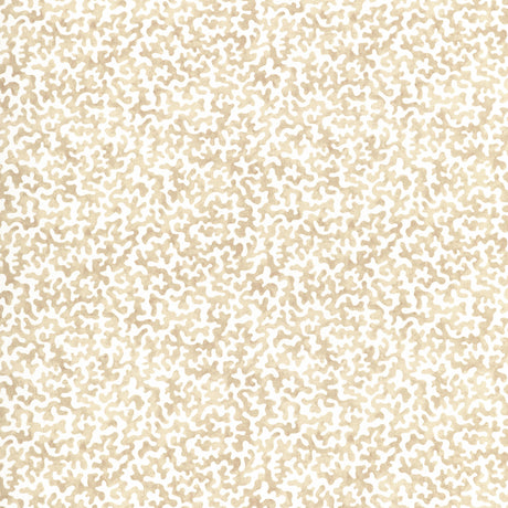 Kravet CORALCOAST SAND Fabric
