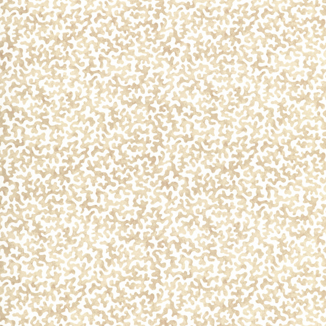 Kravet CORALCOAST SAND Fabric