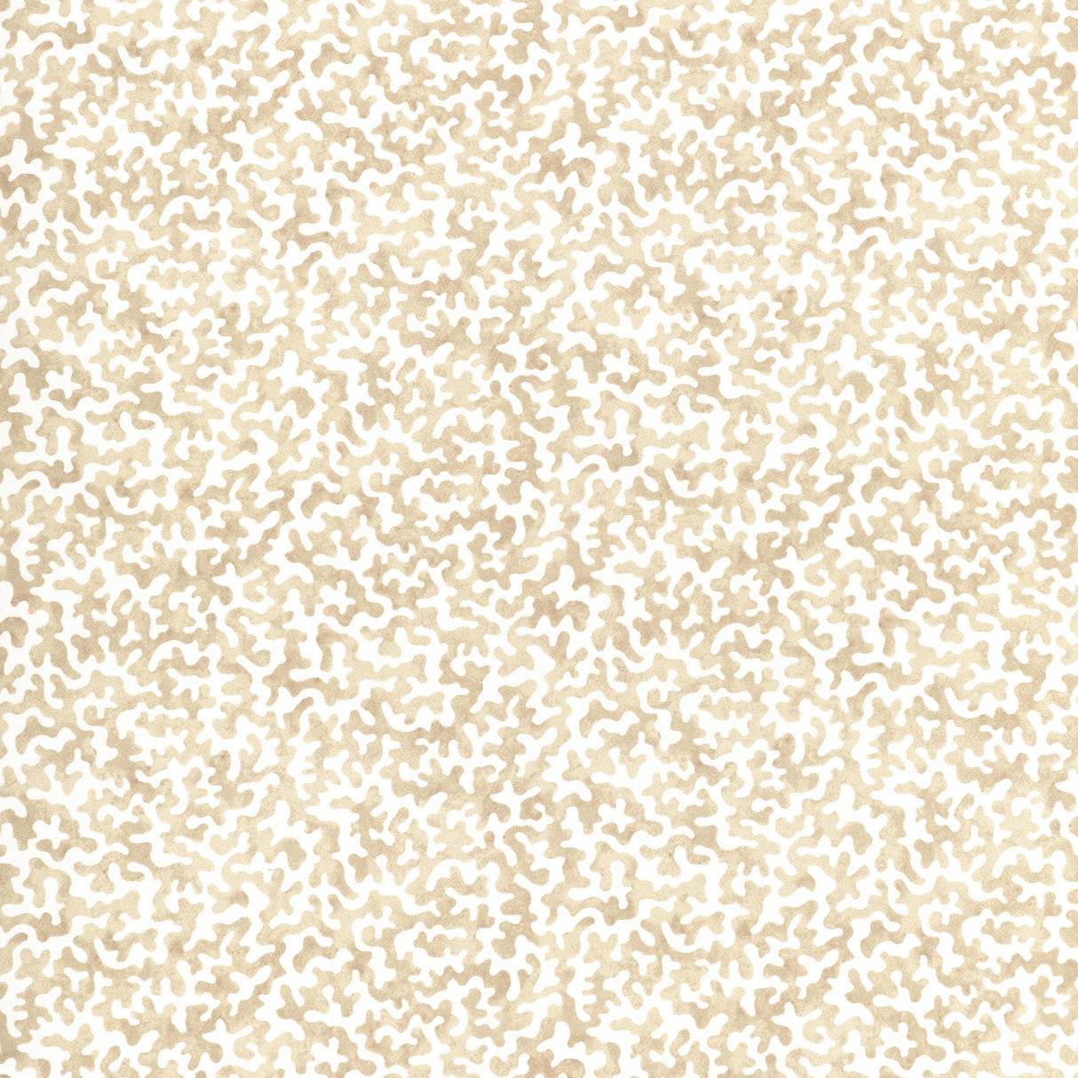 Kravet CORALCOAST SAND Fabric
