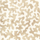 Kravet CORALCOAST SAND Fabric