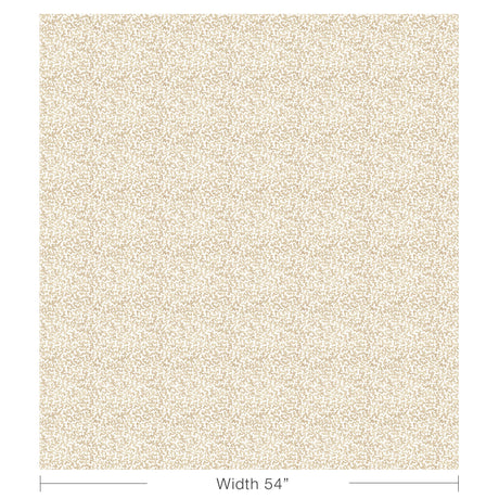 Kravet CORALCOAST SAND Fabric