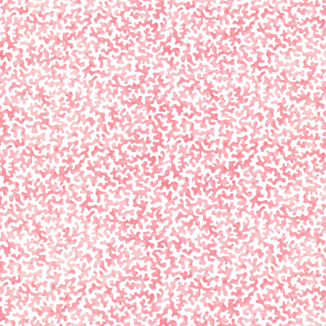 Kravet CORALCOAST PETAL Fabric