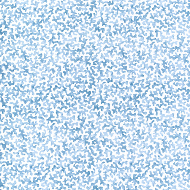 Kravet CORALCOAST WATER Fabric