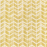 Kravet DONT FRET MAIZE Fabric