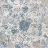 Kravet FIZZLED SPA Fabric