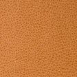 Kravet FOOTHILL CANYON Upholstery Fabric