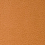 Kravet FOOTHILL CANYON Upholstery Fabric