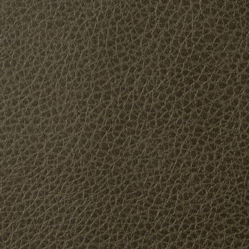 Kravet FOOTHILL TORTOISE Upholstery Fabric