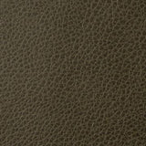 Kravet FOOTHILL TORTOISE Upholstery Fabric