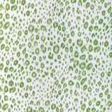 Kravet LEOPARDOS ALOE Fabric