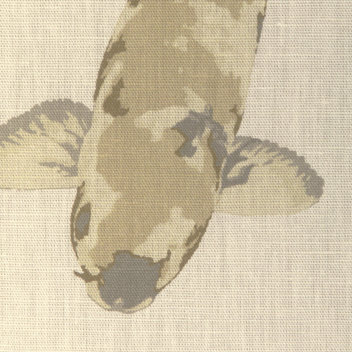 Kravet LOTUS PRINT SANDSTONE Fabric