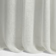 Lizzo FUGAZ 17 Drapery Fabric