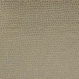 Lizzo GAUDI 19 Upholstery Fabric