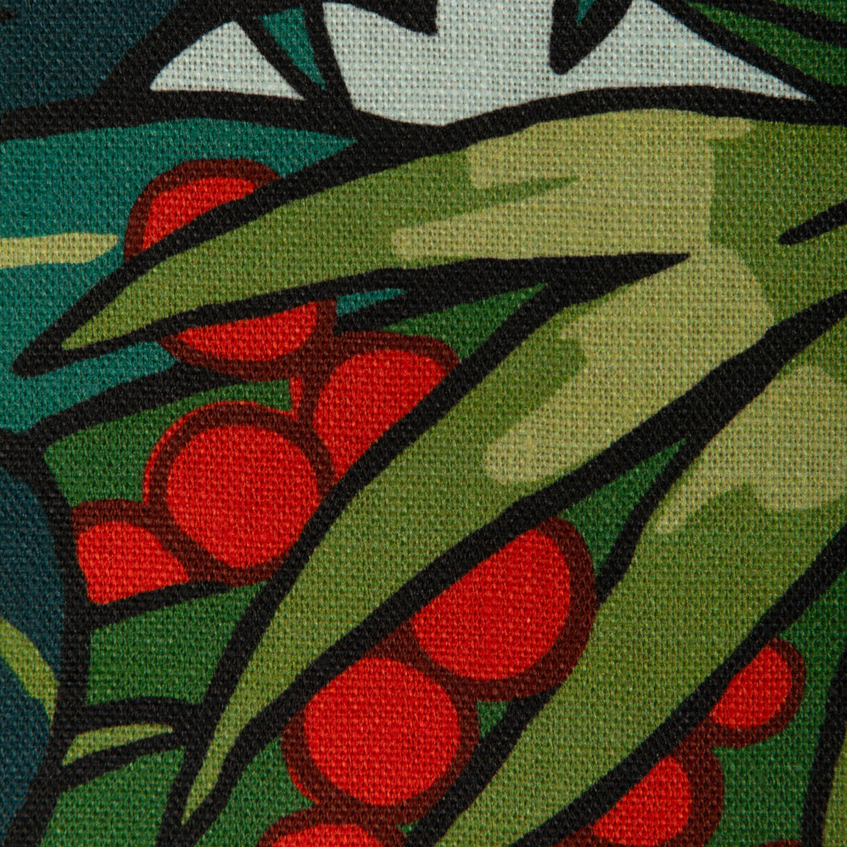 Kravet MILANI PARROT Fabric