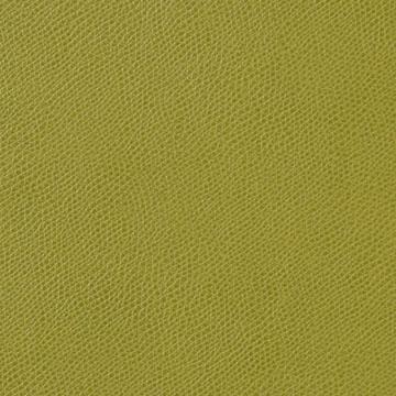 Kravet OPHIDIAN LIME Upholstery Fabric