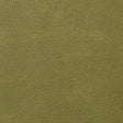 Kravet OVERLOOK VERDE Upholstery Fabric
