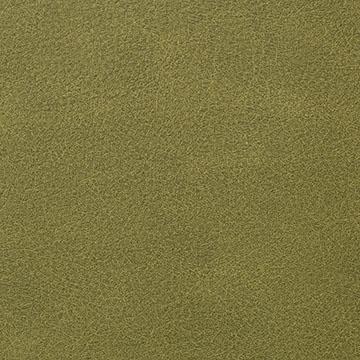Kravet OVERLOOK VERDE Upholstery Fabric