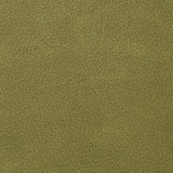 Kravet OVERLOOK VERDE Upholstery Fabric