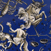 Brunschwig & Fils Cosmique Sapphire Wallpaper