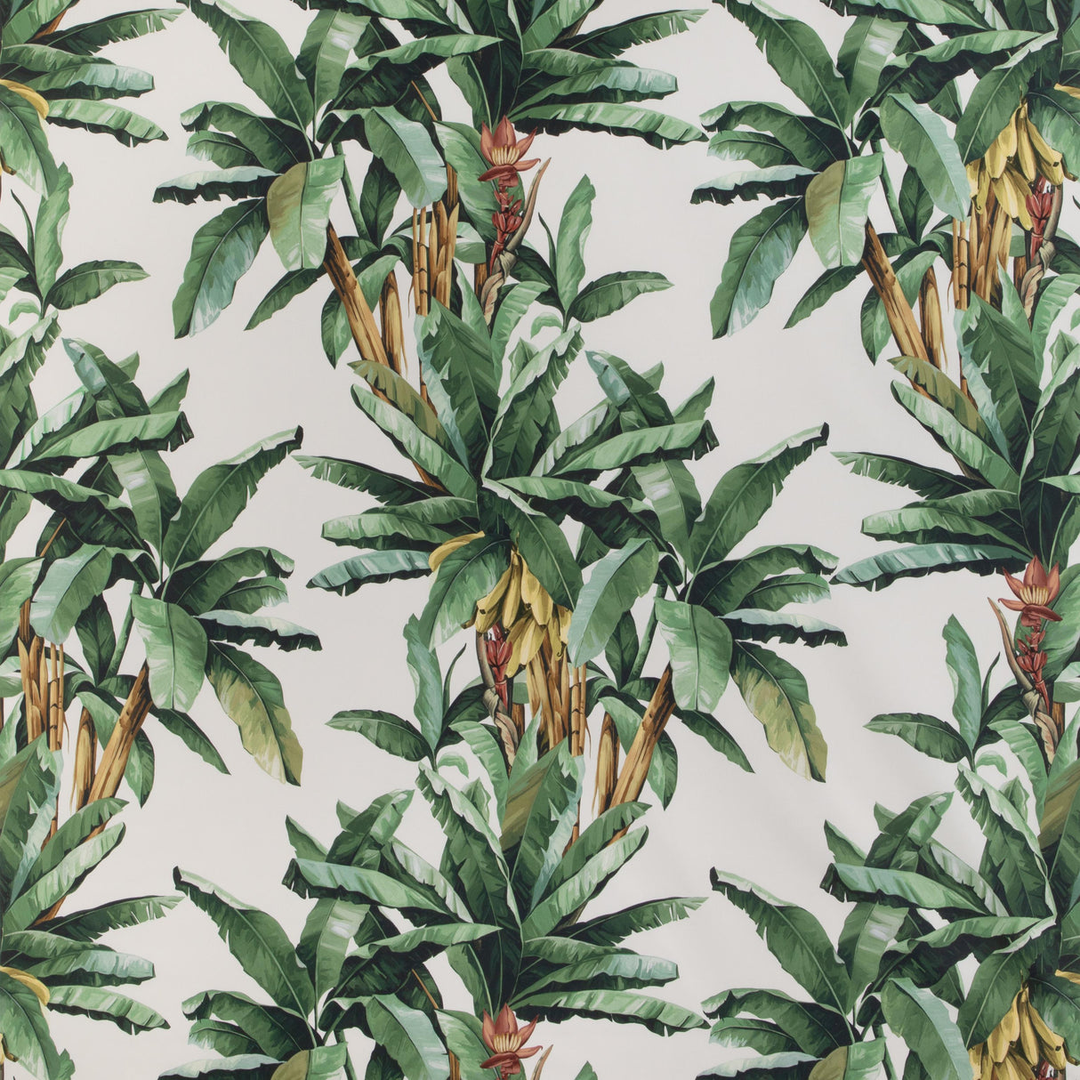 Kravet PALMEIRA VERDE Fabric