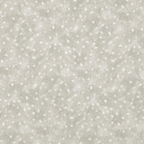 Kravet STARRY SKY WHEAT Fabric