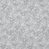 Kravet STARRY SKY DOVE Fabric