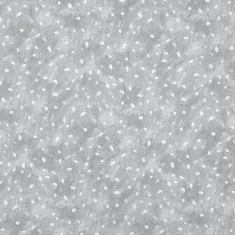 Kravet STARRY SKY DOVE Fabric