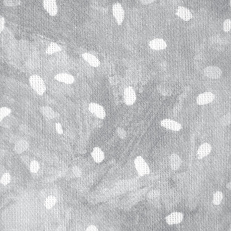 Kravet STARRY SKY DOVE Fabric