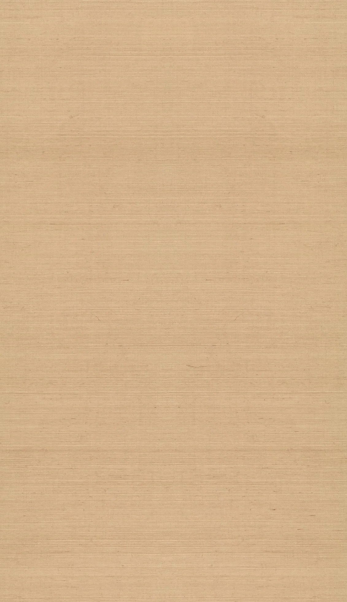 Kravet DESIGN W3996 16 Wallpaper