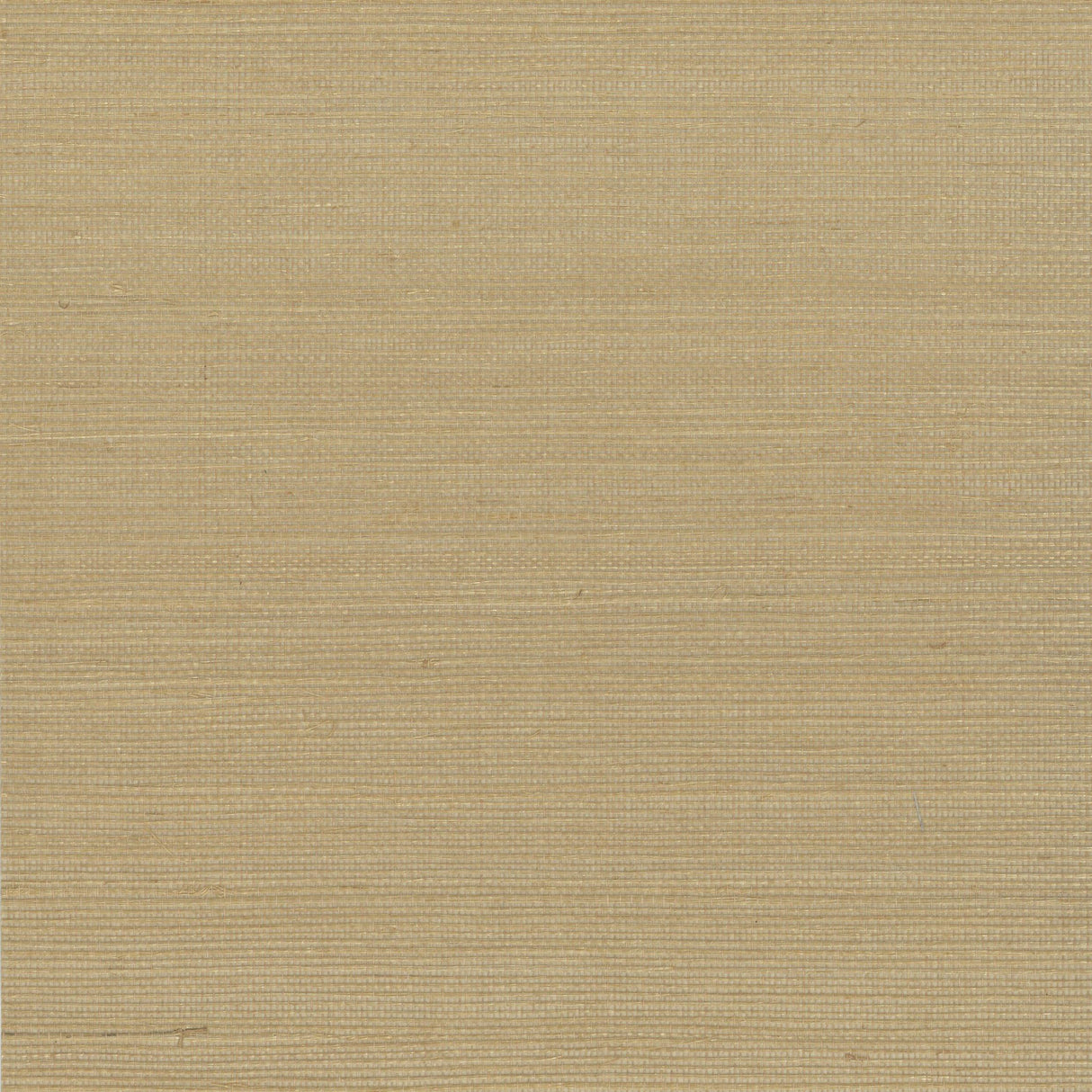 Kravet DESIGN W4003 4 Wallpaper