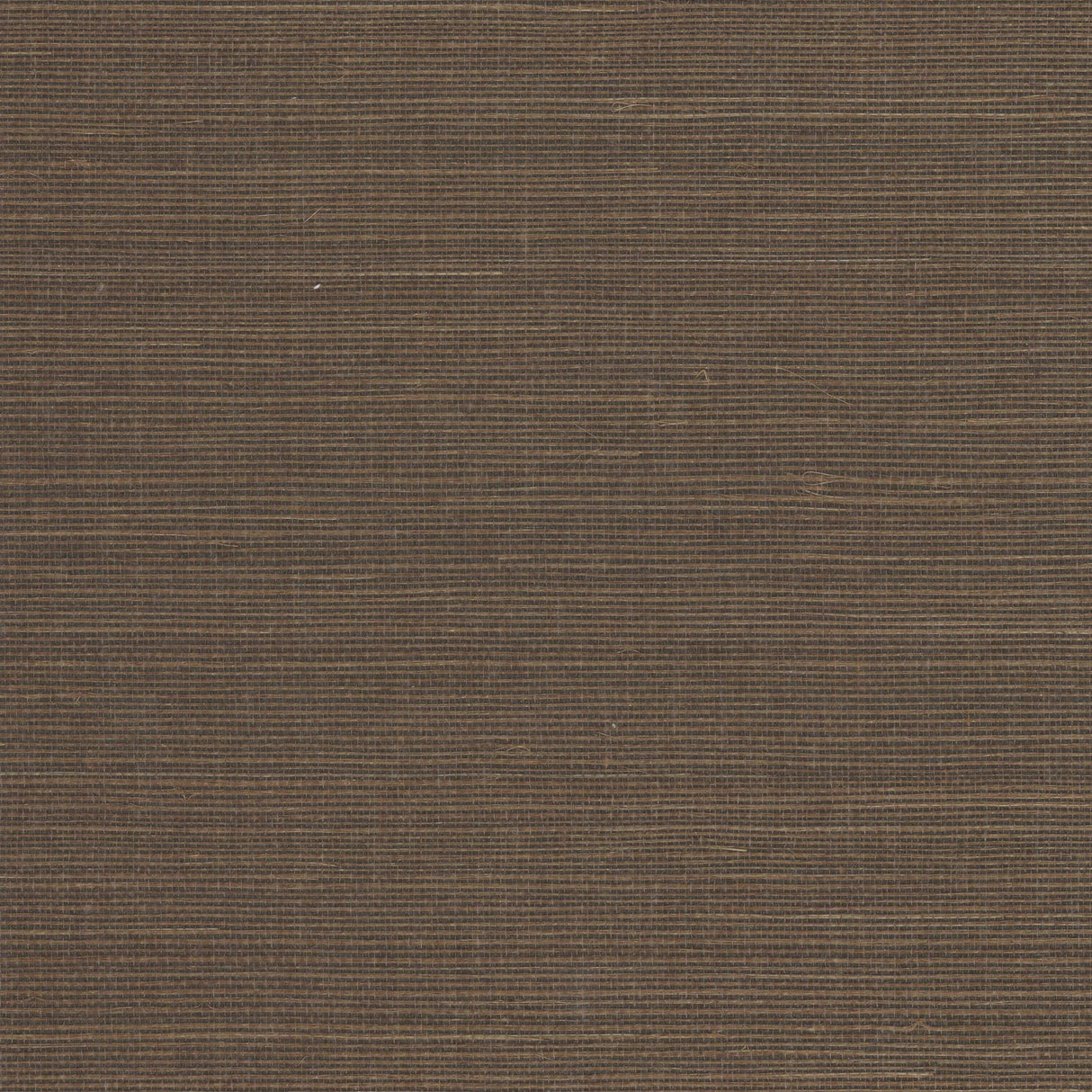 Kravet DESIGN W4003 66 Wallpaper
