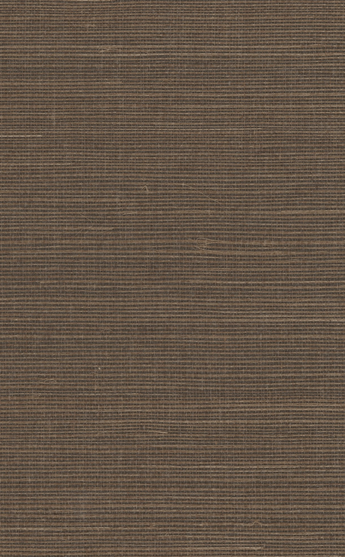 Kravet DESIGN W4003 66 Wallpaper