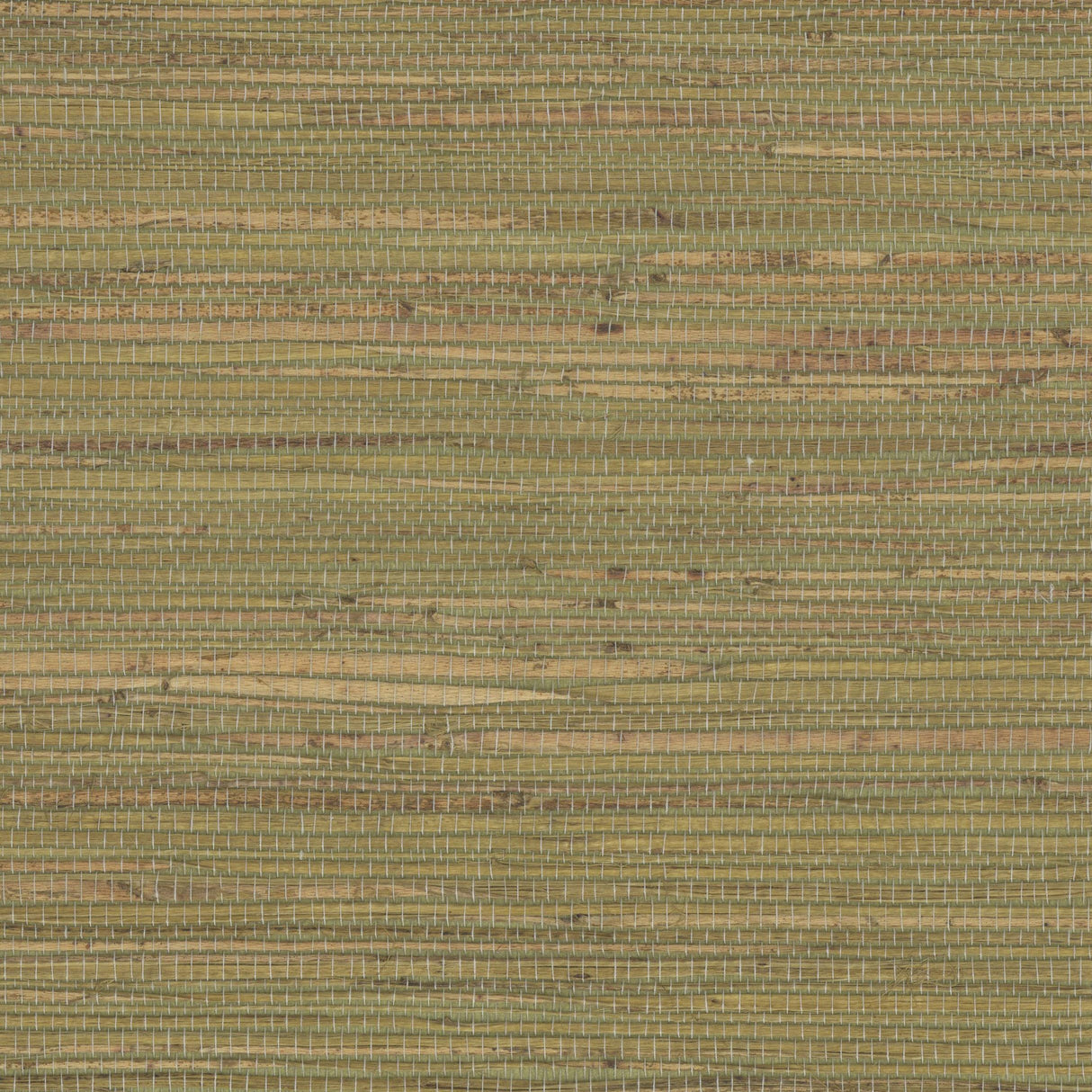 Kravet DESIGN W4007 316 Wallpaper