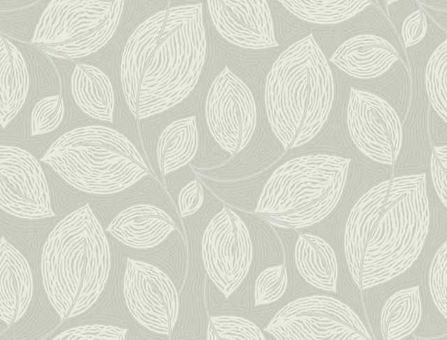 Kravet DESIGN W4157 23 Wallpaper