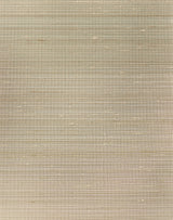 Winfield Thybony GRAYSON MUD Wallpaper