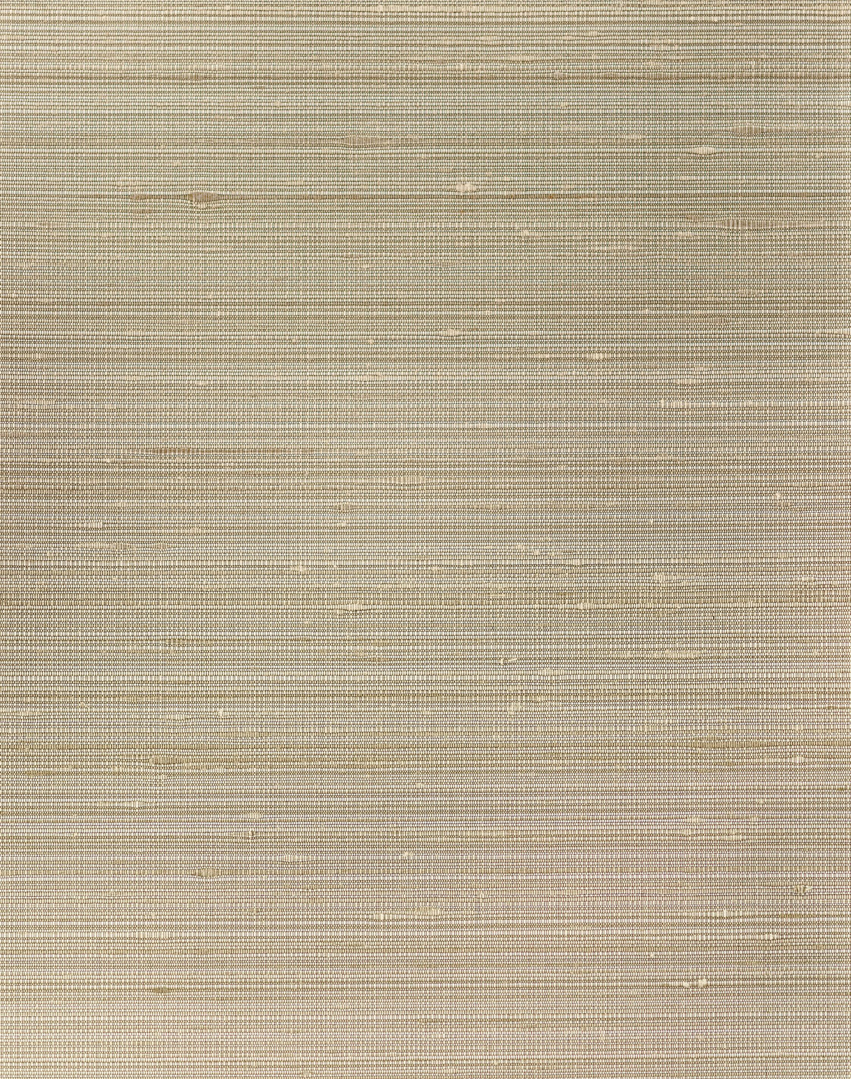 Winfield Thybony GRAYSON MUD Wallpaper